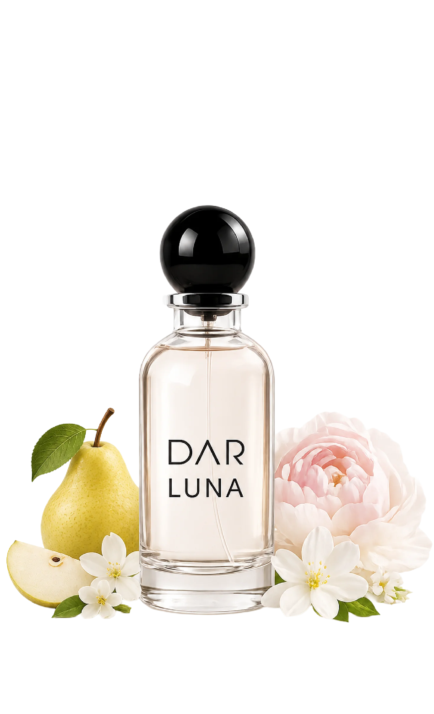 Dar Luna View 2