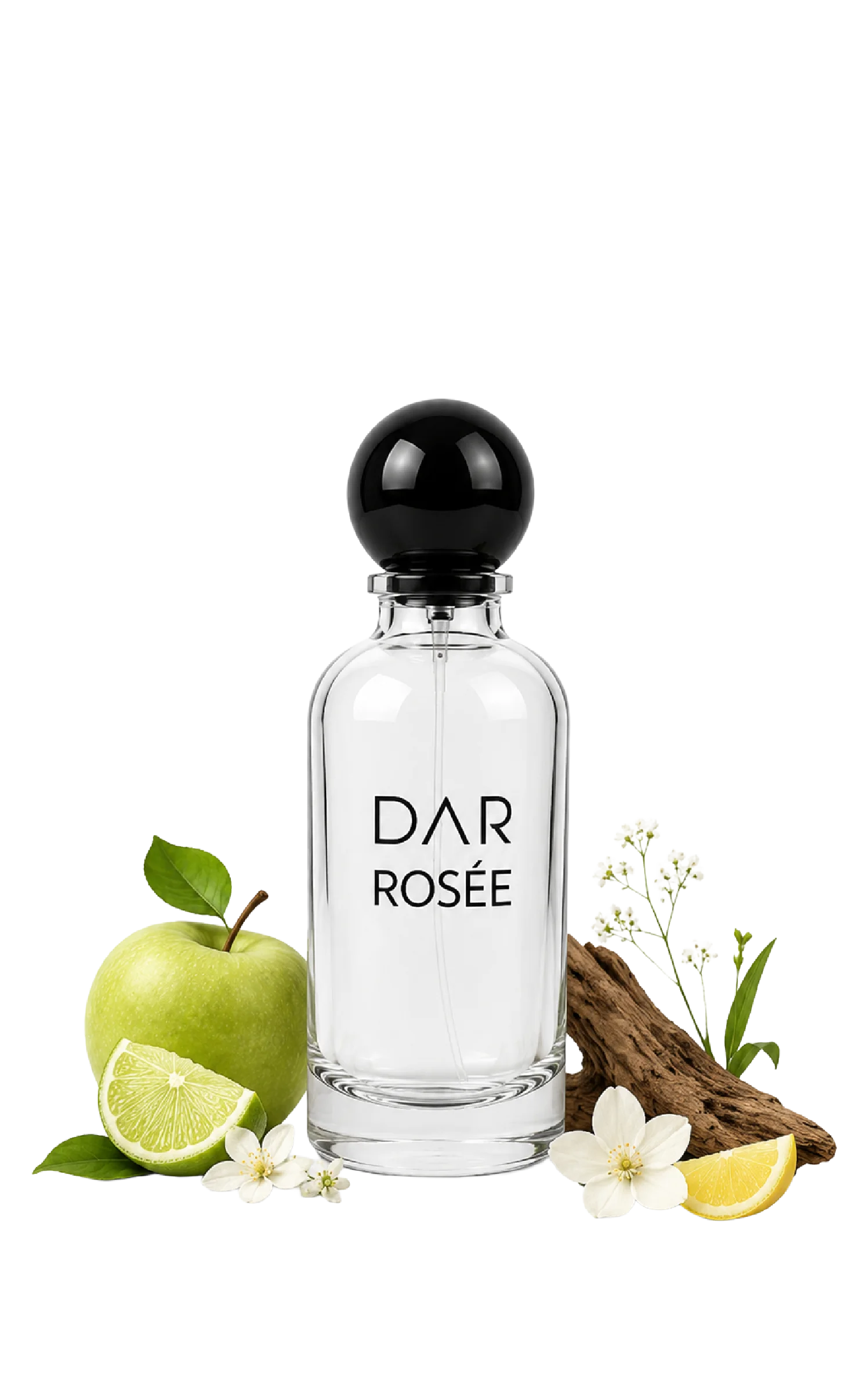 Dar ROSEE View 2